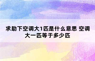 求助下空调大1匹是什么意思 空调大一匹等于多少匹